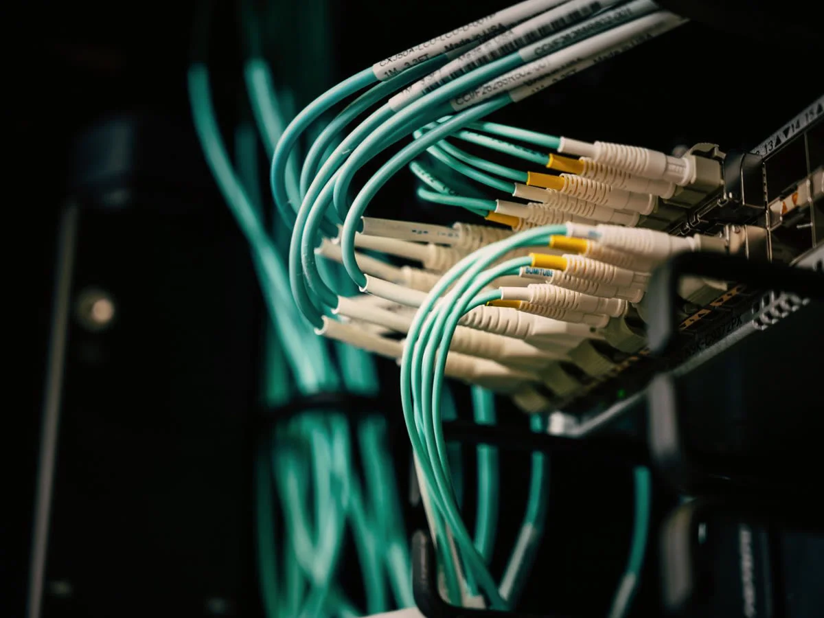 Network cables plugged into a patch panel